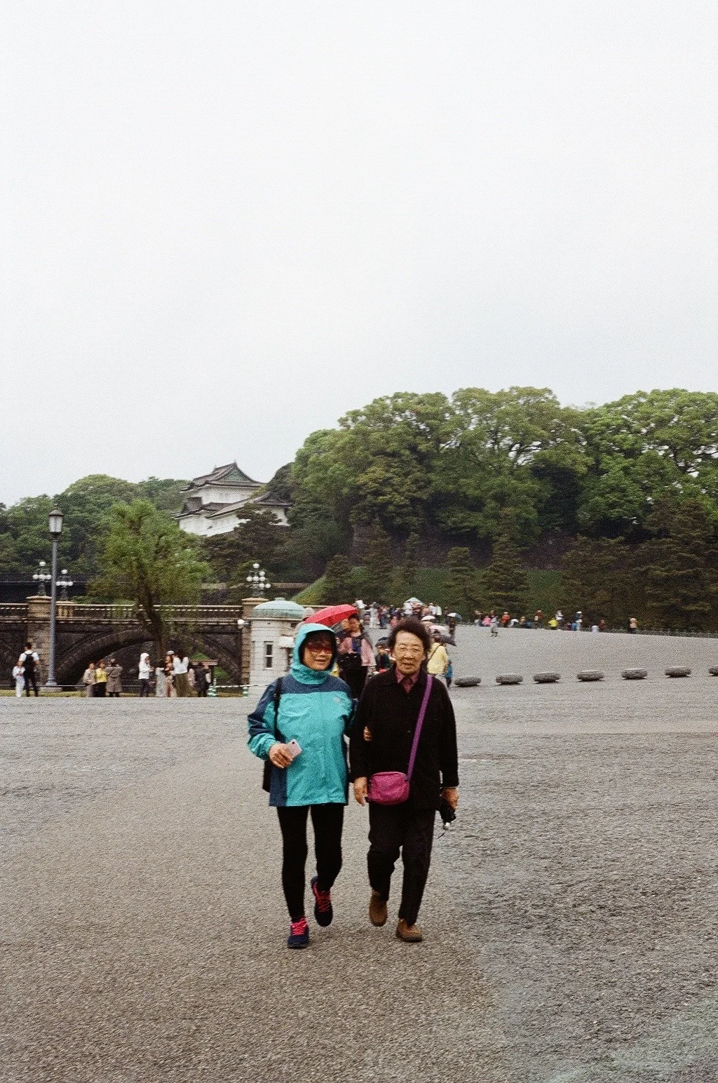 14040038.jpg