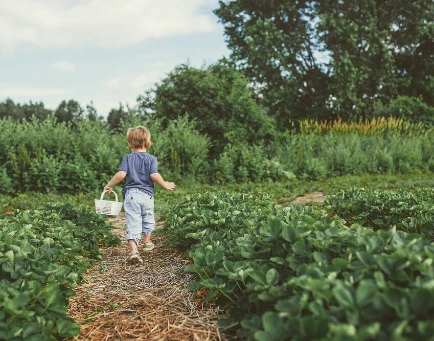 EMBRACING NATURE AS OUR NEW &quot;NORMAL&quot;
&bull;
Prior to the pandemic, most folks never had cause to examine or question their notions of normalcy. 
&bull;
As uncomfortable as it may make us to turn our perceptions of &ldquo;normal&rdquo; insid