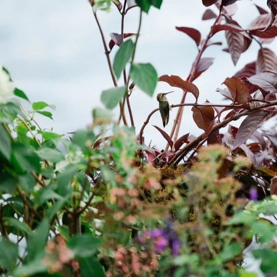 September   |     Flathead United Methodist Camp