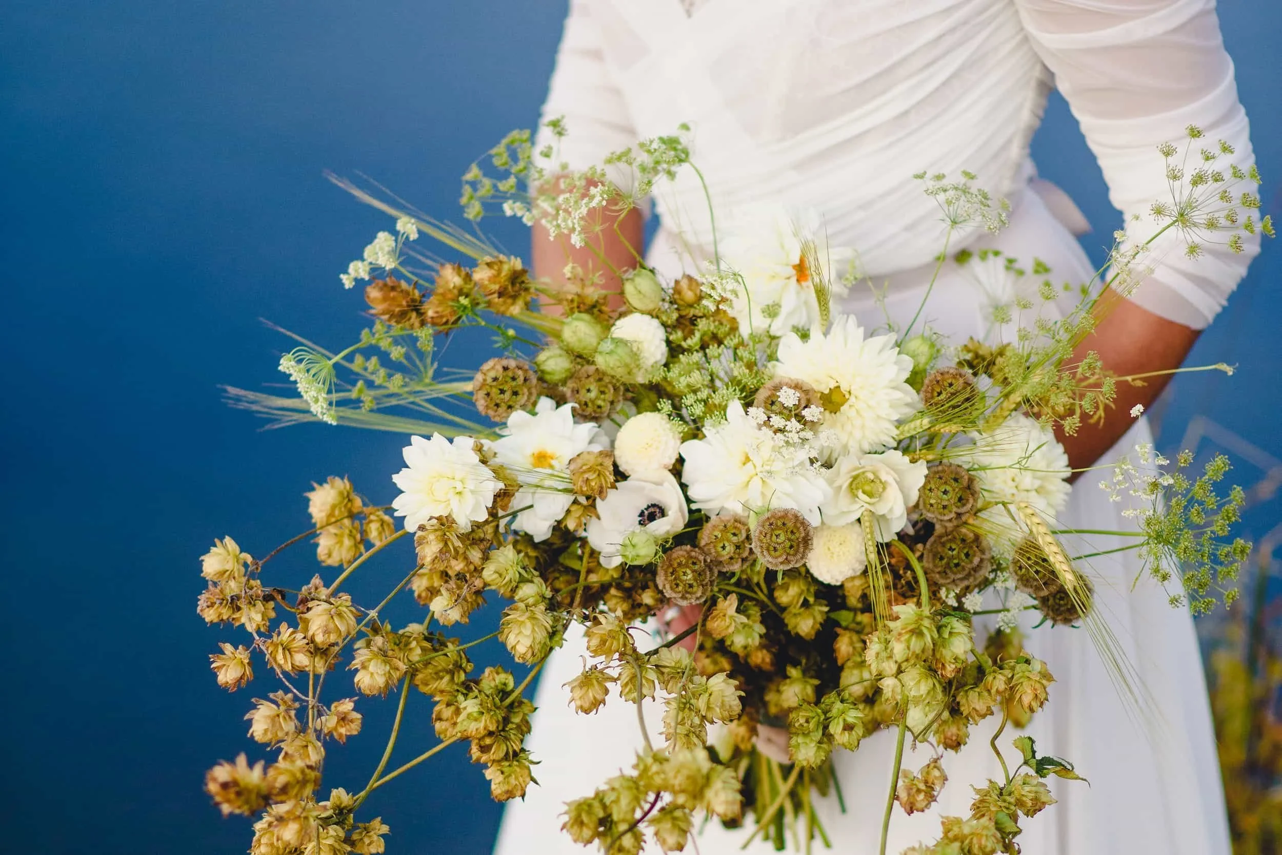 September   |     Map Brewing