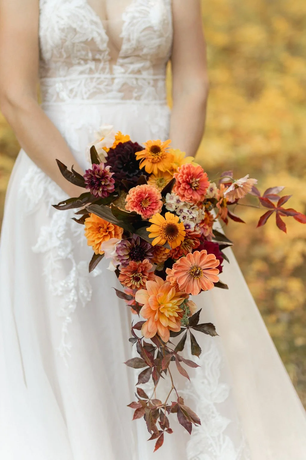 Autumnal bouquet with saturated yellows oranges corals and a cascading style with red leaves and russet peony leaves and cherry caramel phlox dahlias and zinnias