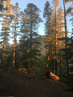 9 AM is the best time of day in the Sierra