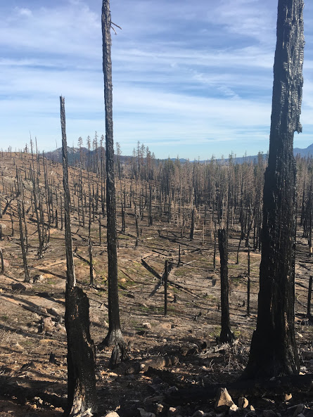The burn areas in Oregon were erie and sad