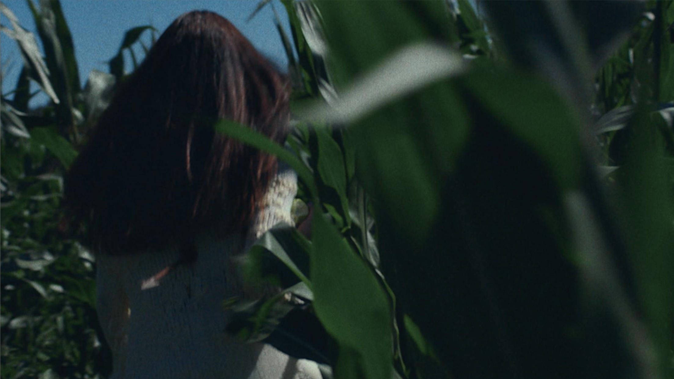 Live Catch (Feature in Development) - 暂名：《一席之地》