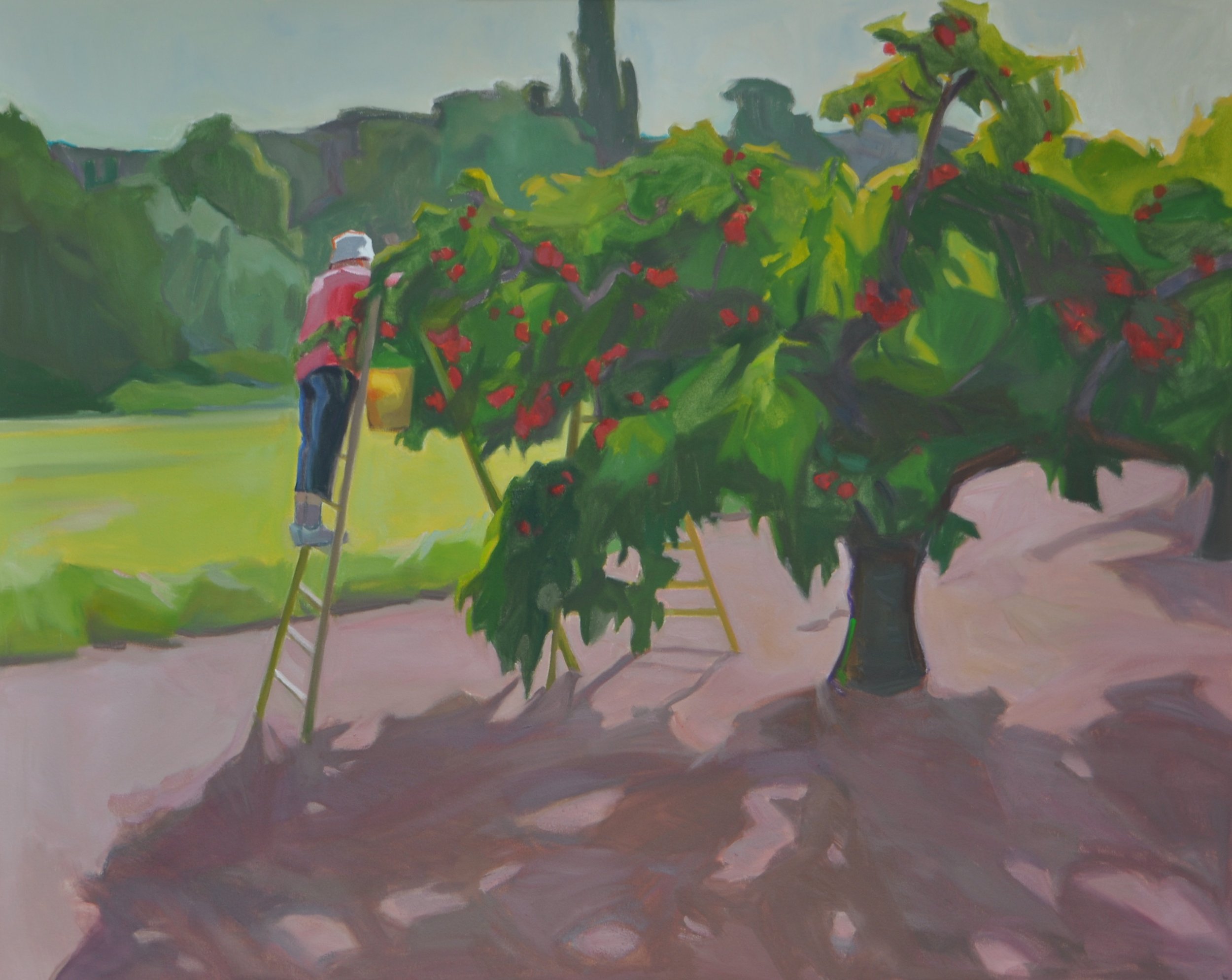 SOLD Abundance, acrylic on canvas, 40 x 60 inches