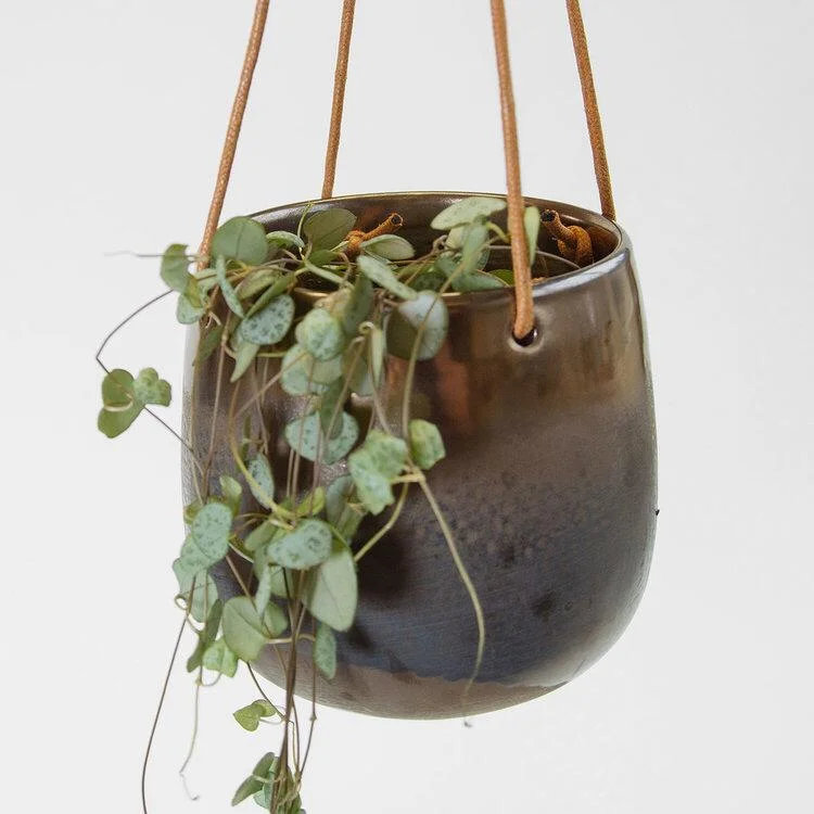 STRING OF HEARTS IN COPPER HANGING PLANTER FROM SUCCULENCE The ultimate Valentine’s plant, String of Hearts, complimented perfectly by this copper hanging planter. This is an easy to care for plant that propagates readily, making it an ideal gift for any plant lover. There’s limited availability so get in quick! £30 Available here