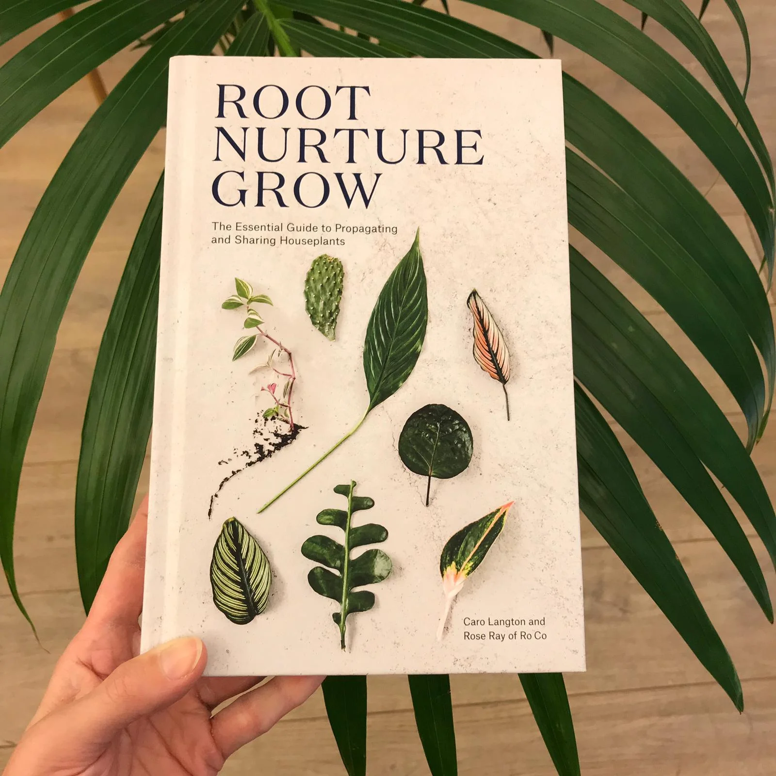 ROOT NURTURE GROW BY STUDIO RO CO There’s nothing more rewarding than propagating plants and watching them grow. This beautiful book is packed with simple propagation instructions and beautiful inspiration images. Any plant fan will enjoy trying something new, whether that be growing a mango from a stone, or having a go at Begonia leaf cuttings. £14.59 Available to order here