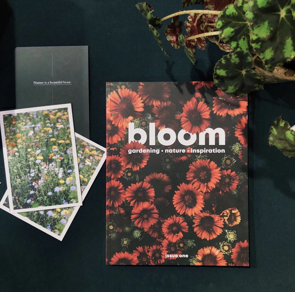 SUBSCRIPTION TO BLOOM MAGAZINE This magazine launched in September and has become an instant hit. It’s truly irresistible for any plant lover. It’s a visually stunning and inspiring collection of practical tips, insightful interviews and to-die-for imagery that will become a firm favourite of any gardener - whether your loved one is a seasoned pro, just starting out with a veg patch, or has a growing indoor plant collection we’re certain they’ll love this publication. £10 - £25 Subscribe here