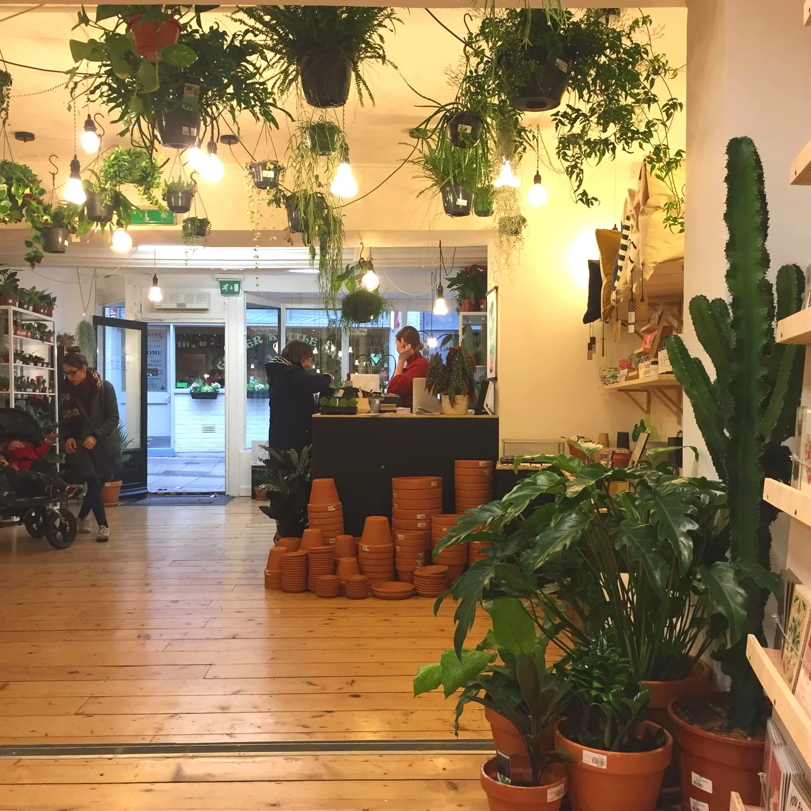 elm+full+shop.jpg