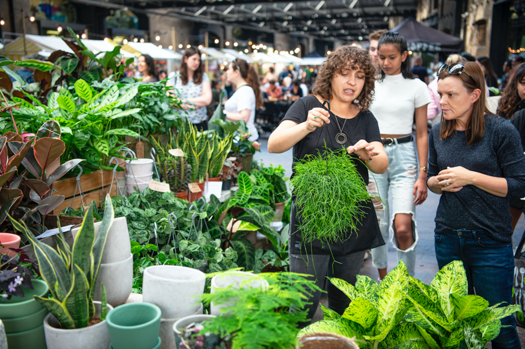 Plantstraws — Green Rooms Market