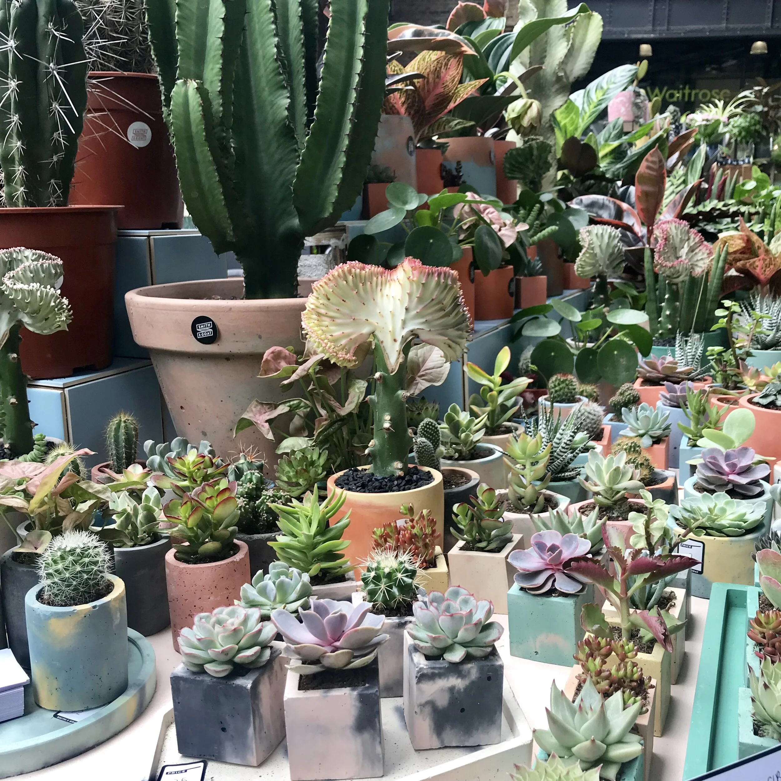 POSTPONED: Green Rooms Market at Dulwich Picture Gallery