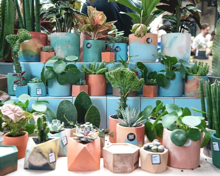 Photo by Peach at Green Rooms Market July 2019