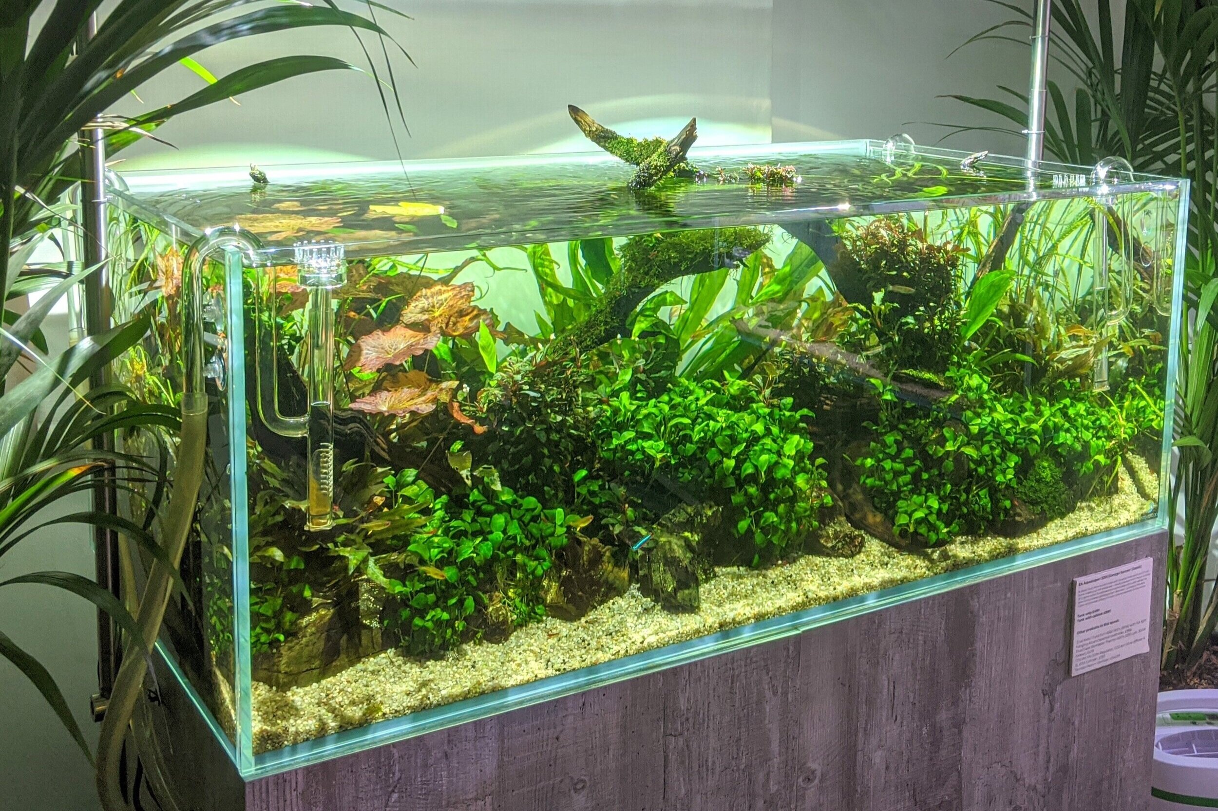 Aquascaping