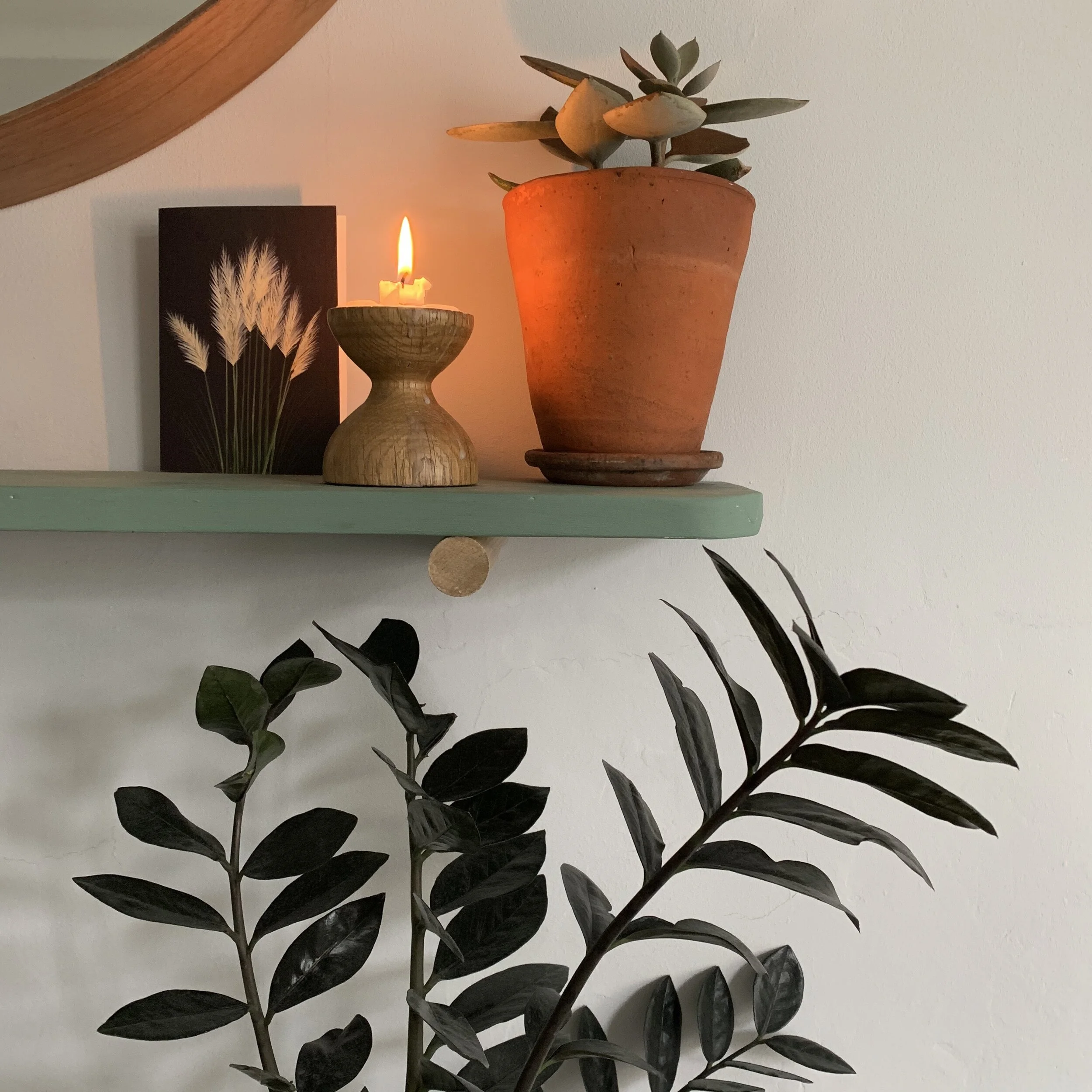 Caring for house plants in winter