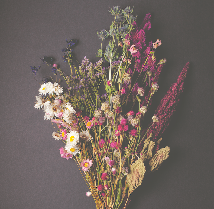 Drying Wildflowers: A Step-by-Step Guide