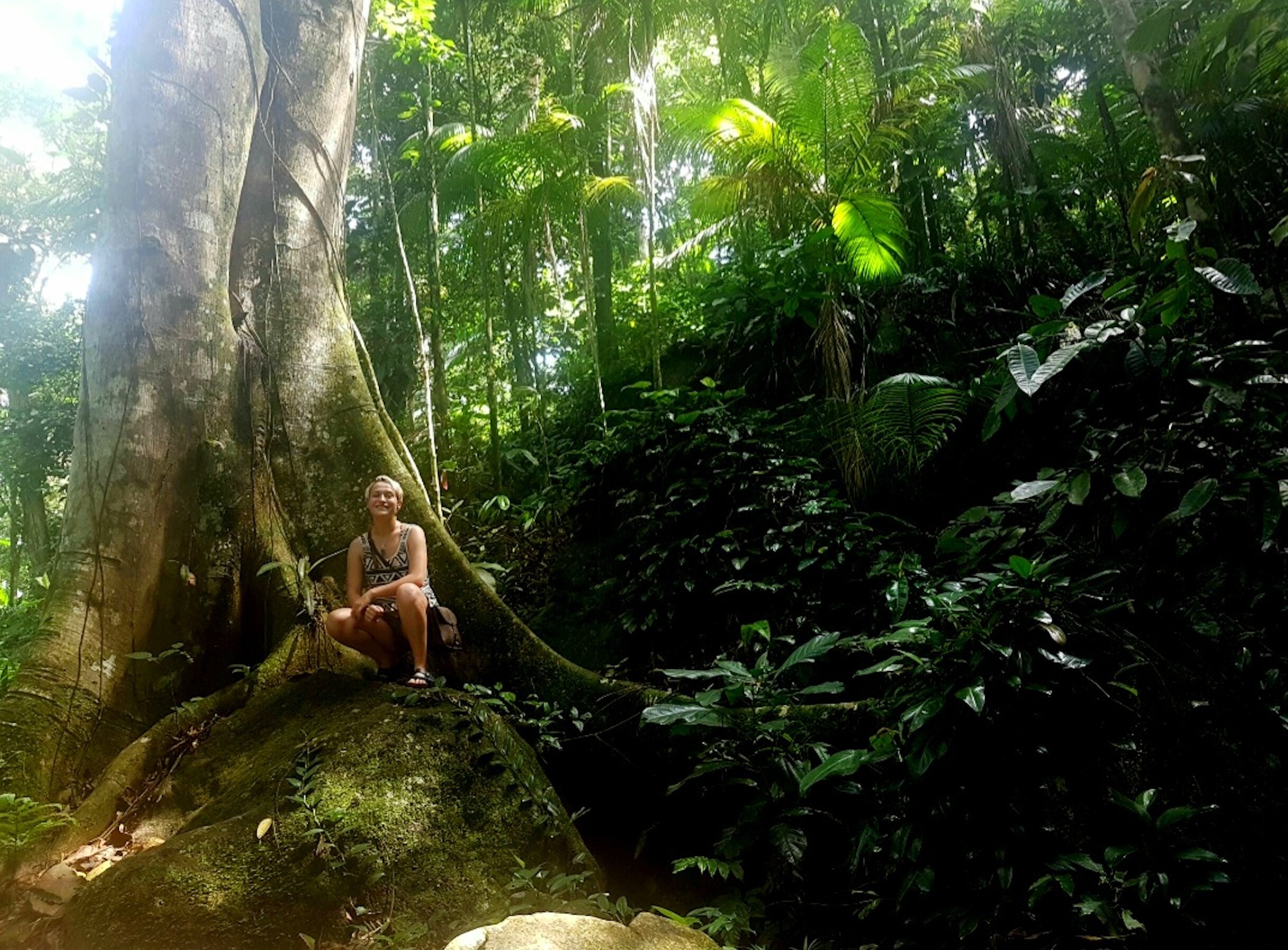 exploring Brazilian jungles