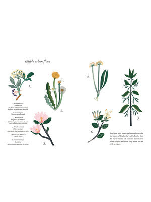 Edible urban flowers excerpt