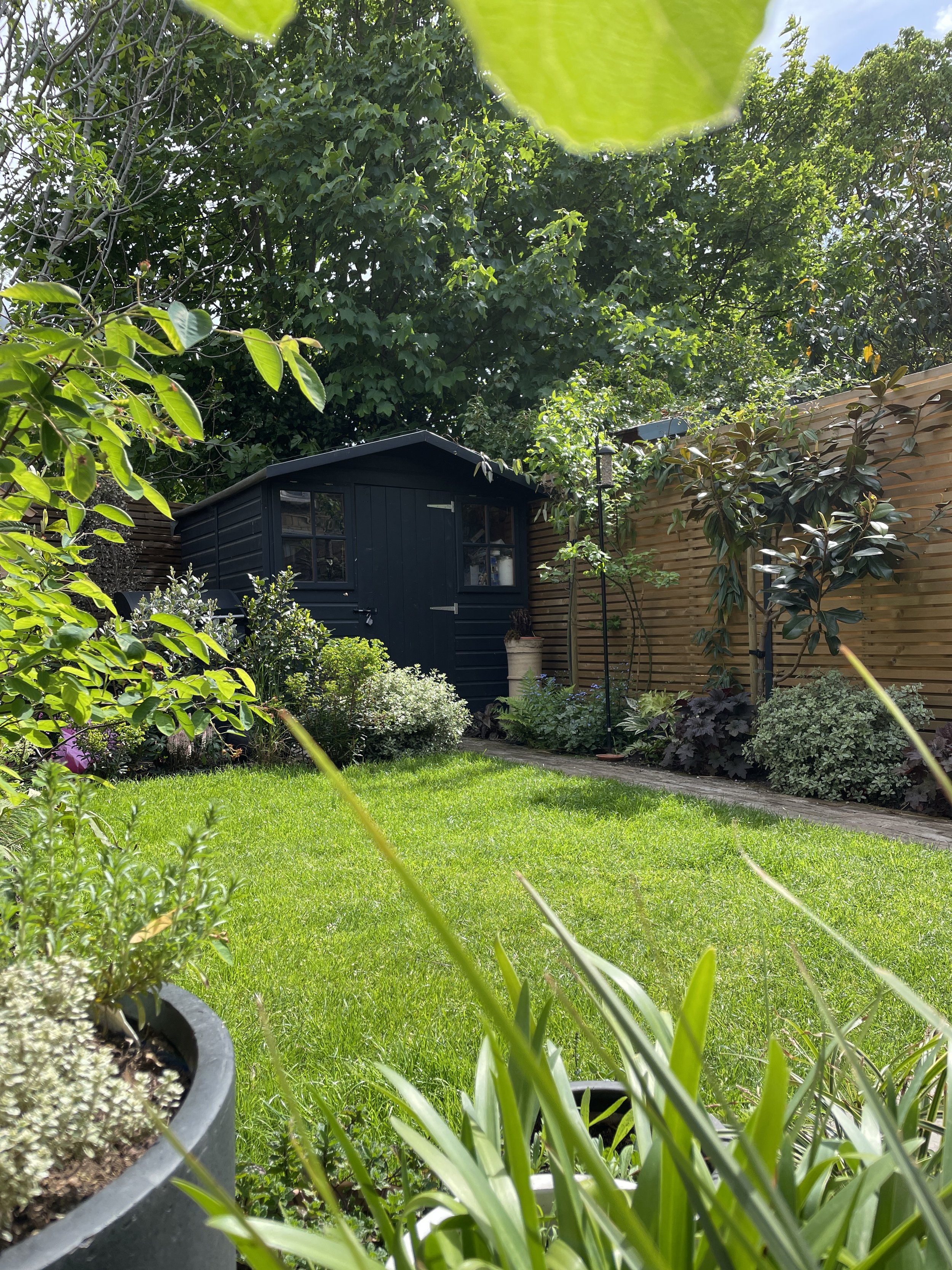 Small garden with lawn, beds and dark painted shed