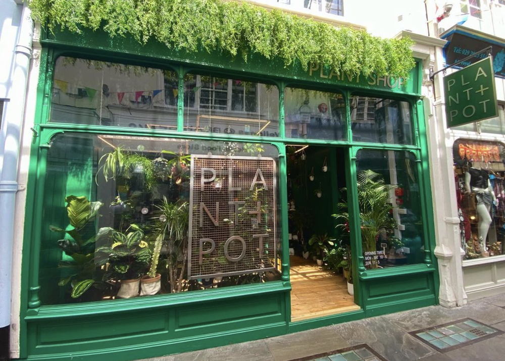 Plant and Pot shop front
