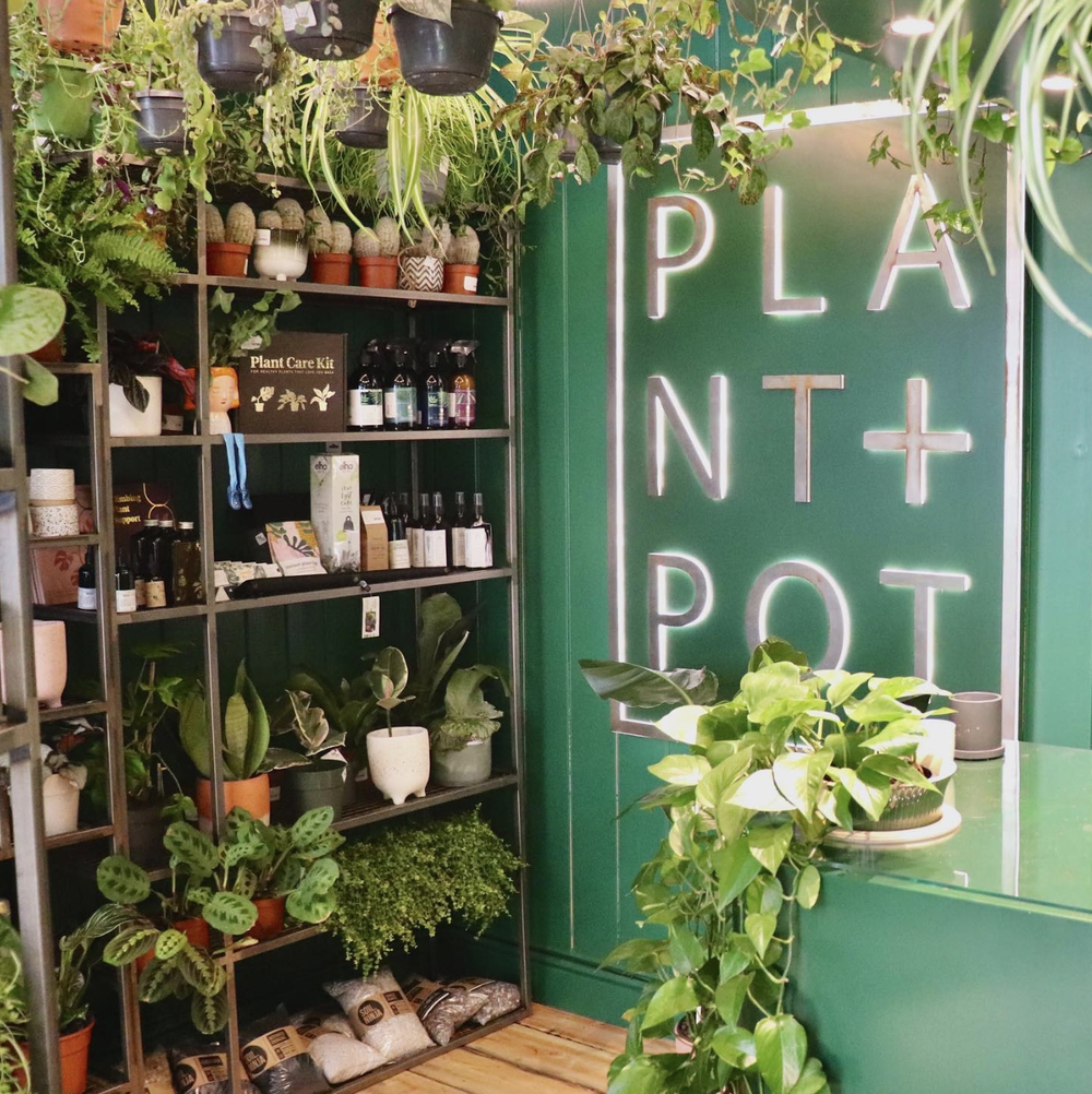 Inside Plant and Pot shop