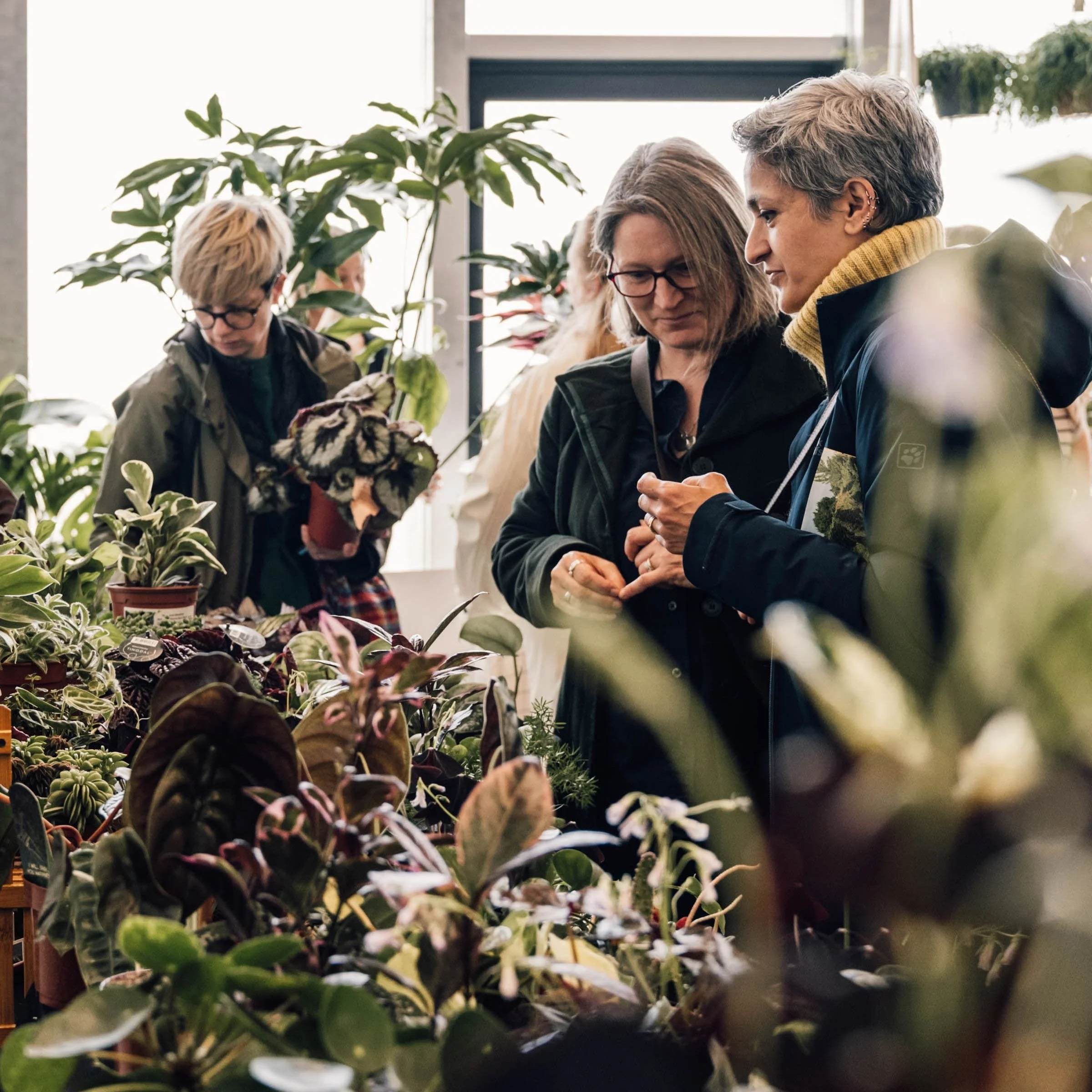 Green Rooms Market at Turner Contemporary, Margate