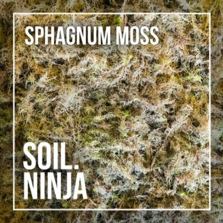 Sphagnum Moss 5L £12