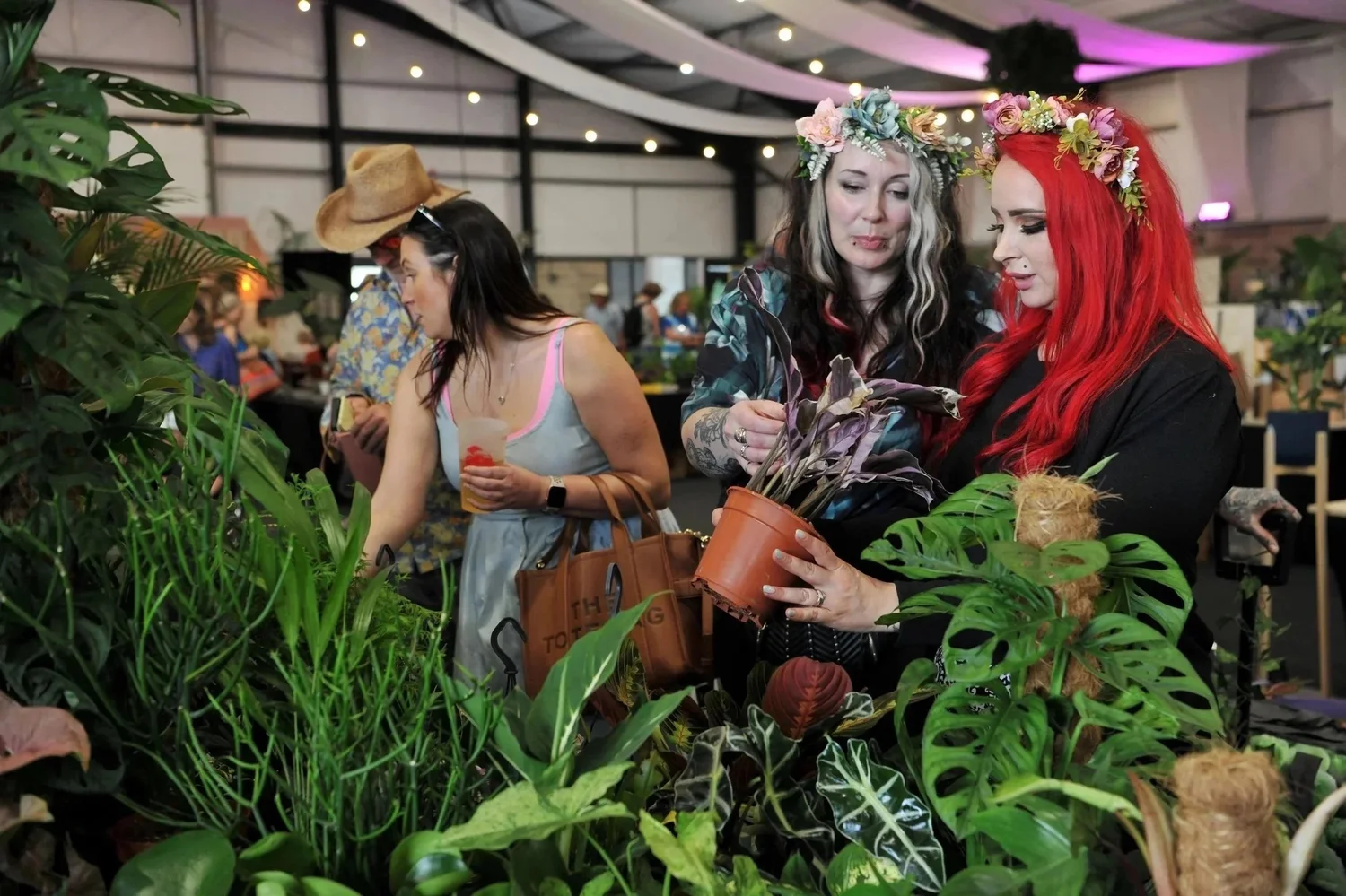 celestial plants Celestial Explosion