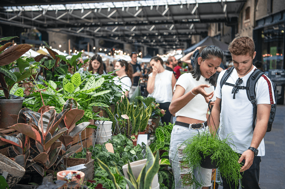 Green Rooms Market image.png