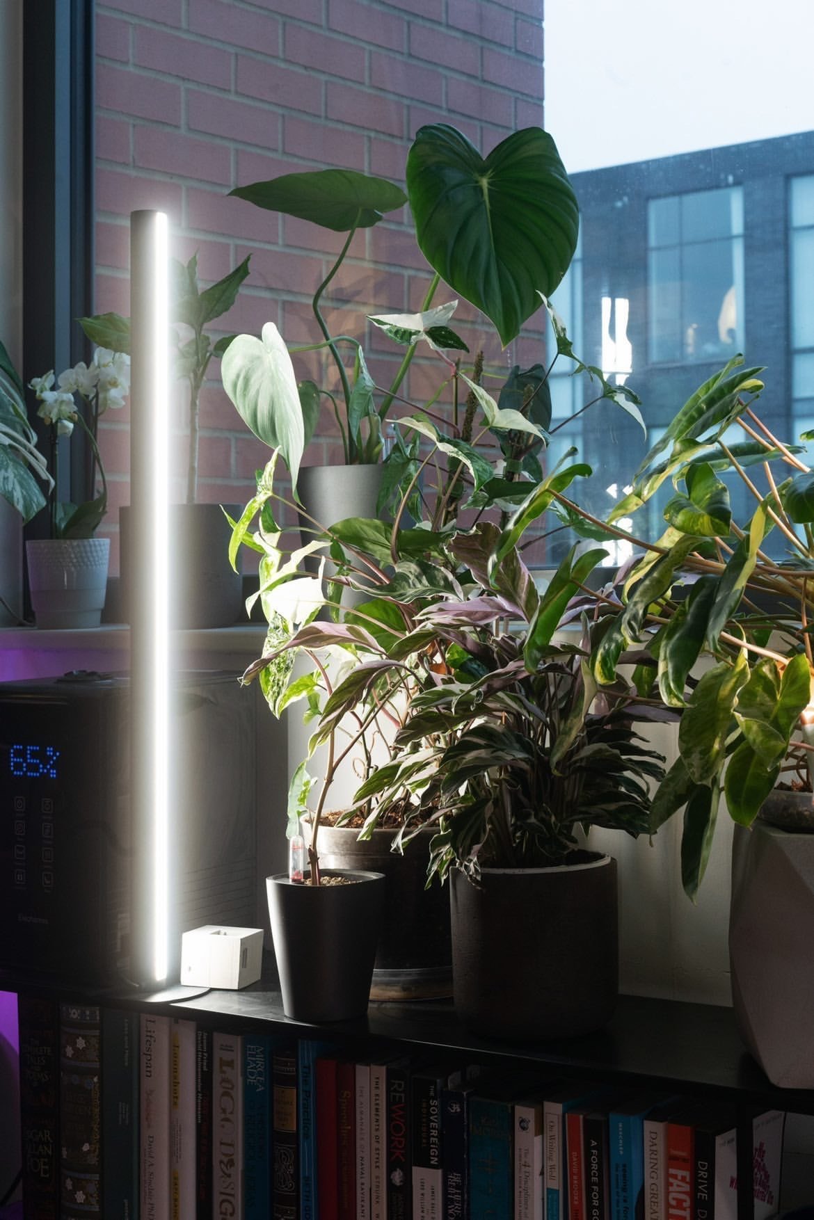 13 of the Best Grow Lights for Indoor Gardens