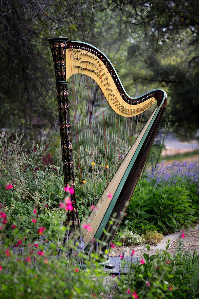Kerstin's Harp .jpeg