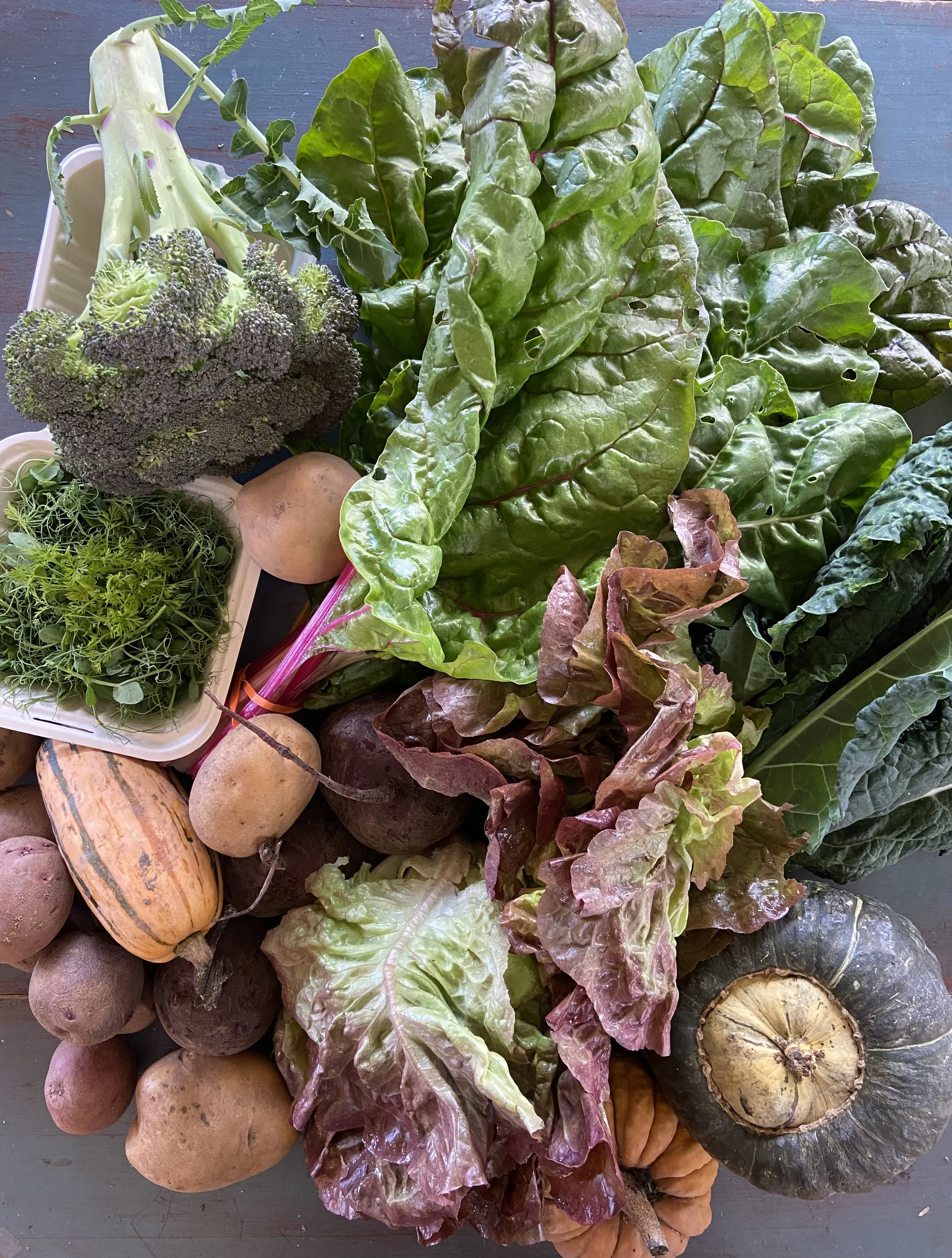 Veggie CSA -2.jpg