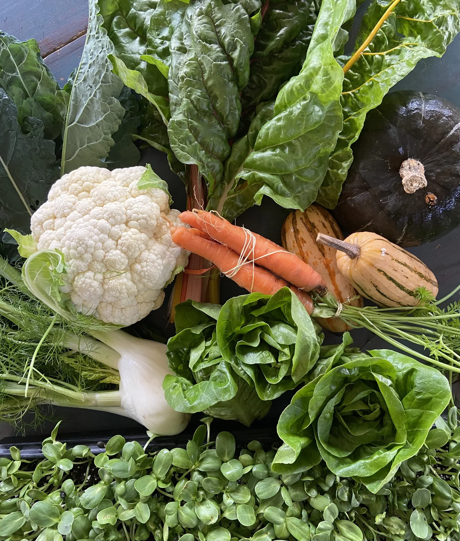 Round Produce Our Petaluma farm, offers seasonal, organic, year round produce in our ...