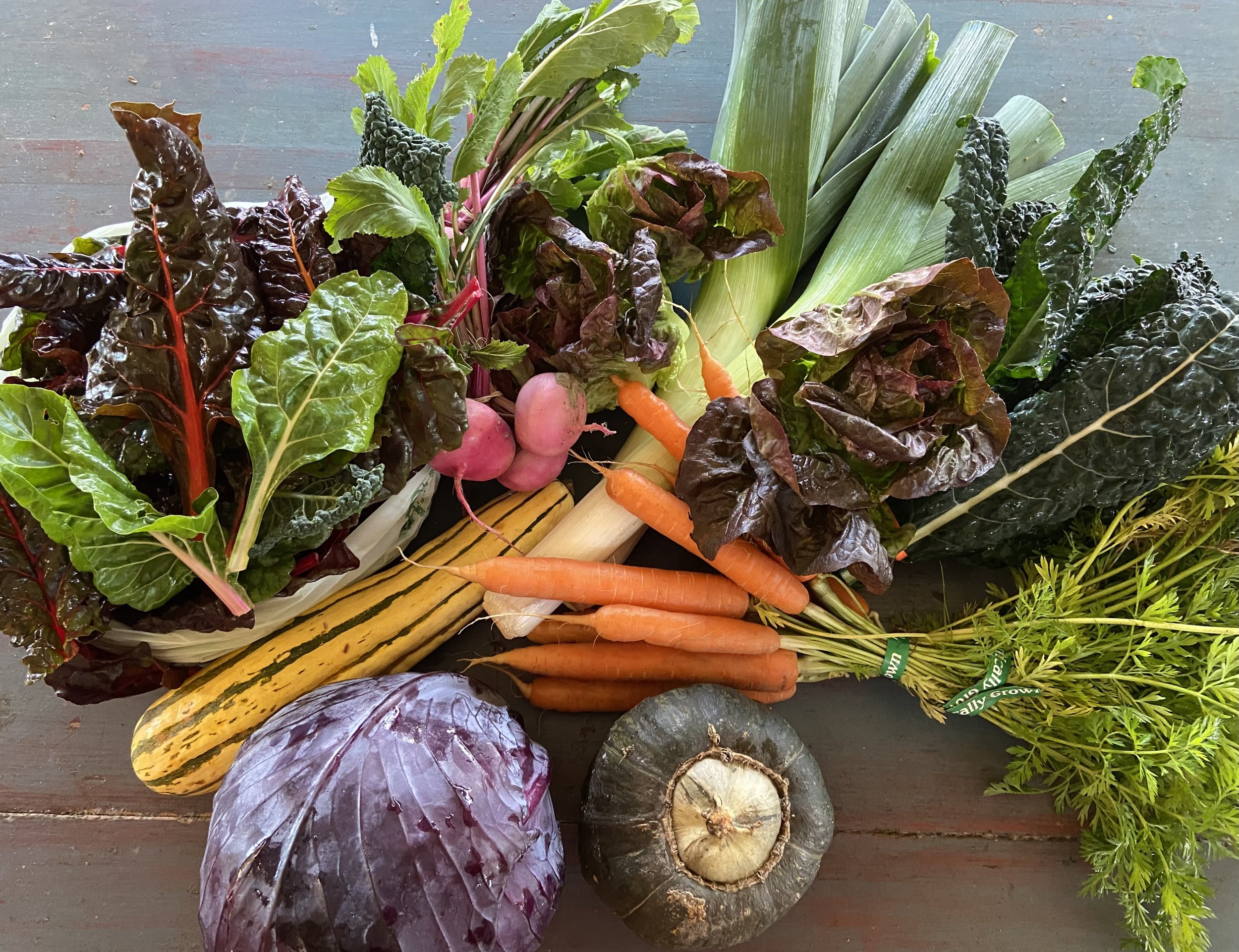 Veggie CSA -1.jpg
