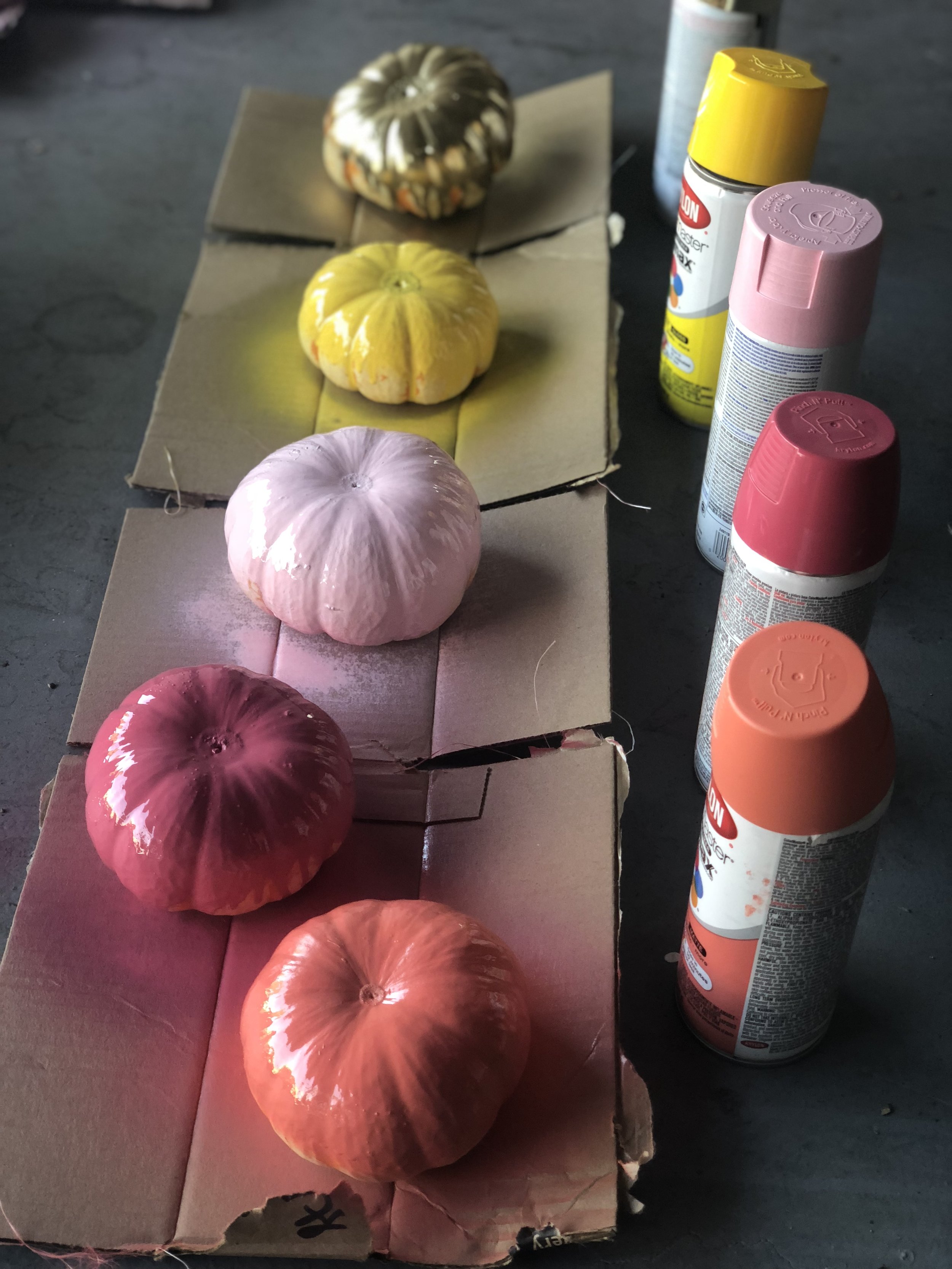 DIY painted pumpkin decor multi color.jpg