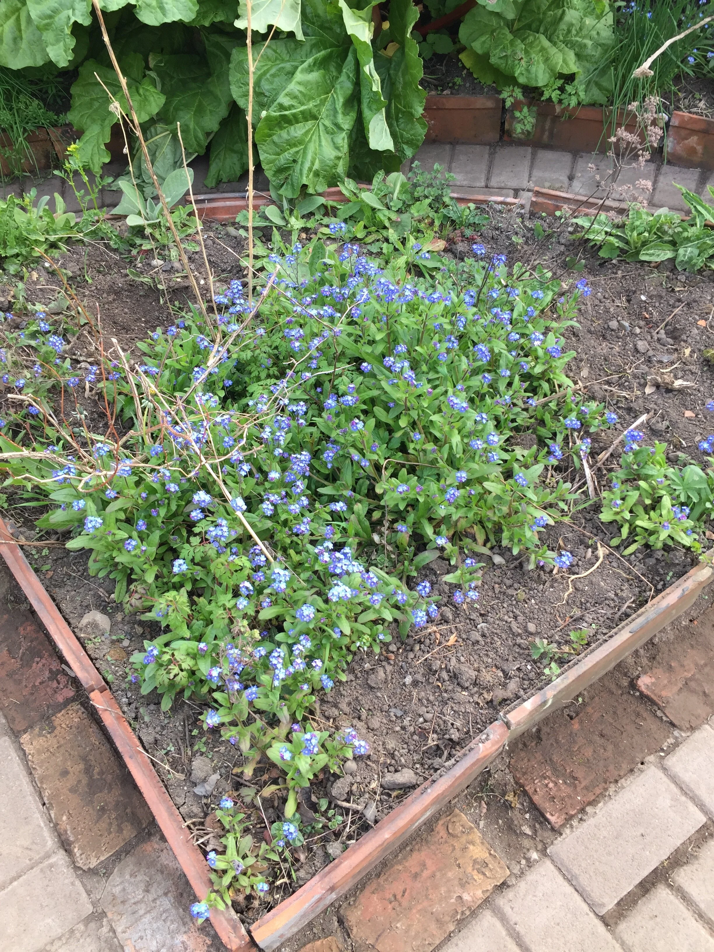 Do You Remember Your Dreams?