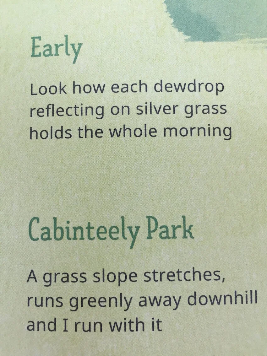 Haiku Week – Write Your Own Haiku!