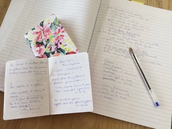 Looking and Thinking  - Making Notes and Rhyming