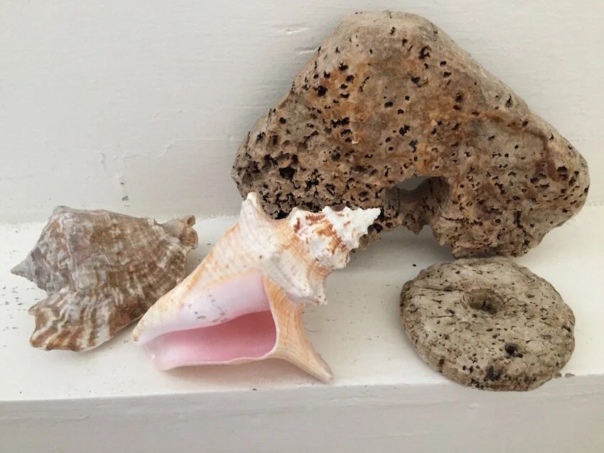 Mirror Poems For Journeys Out and Back!