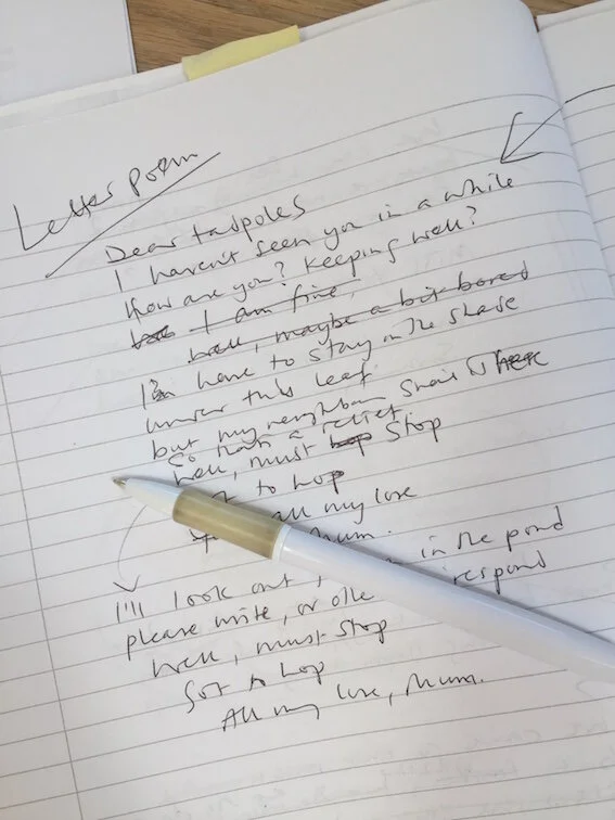 Write a 'Letter' Poem