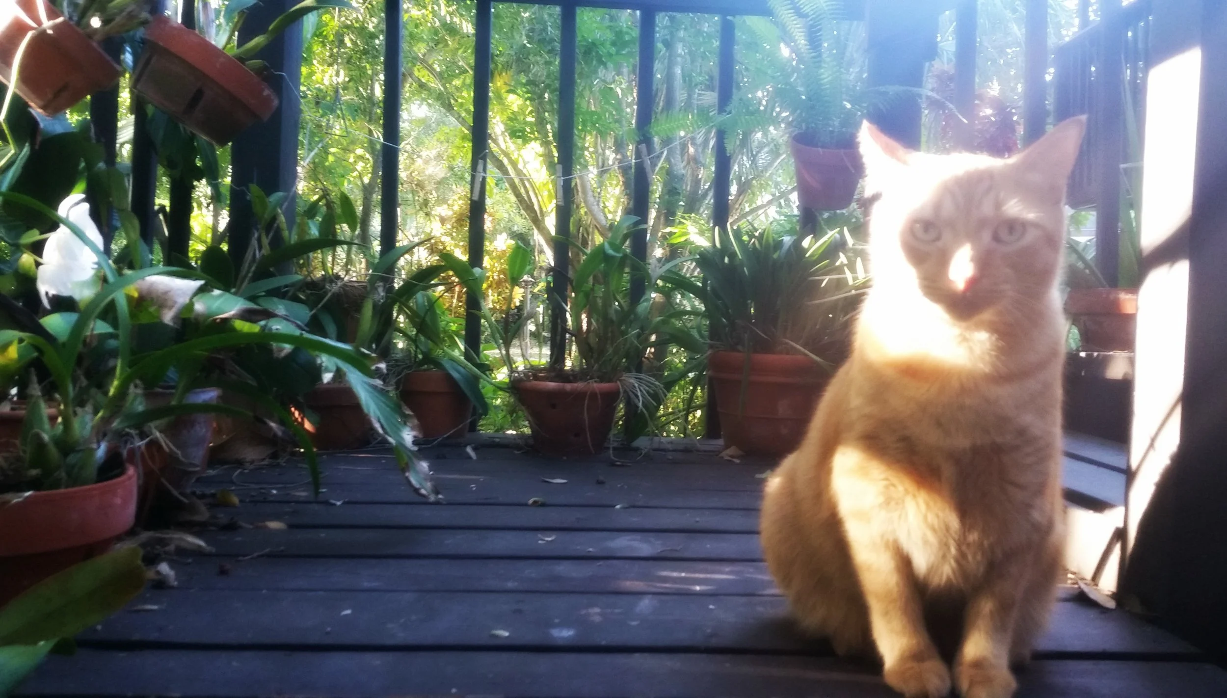 Just give me a minute….