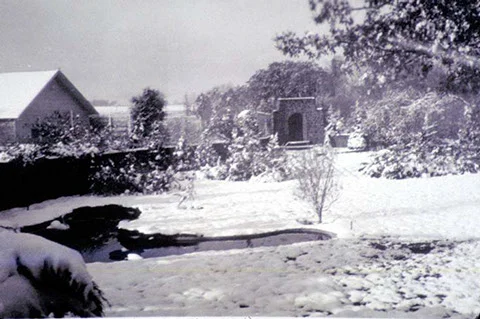 picture29.jpg
