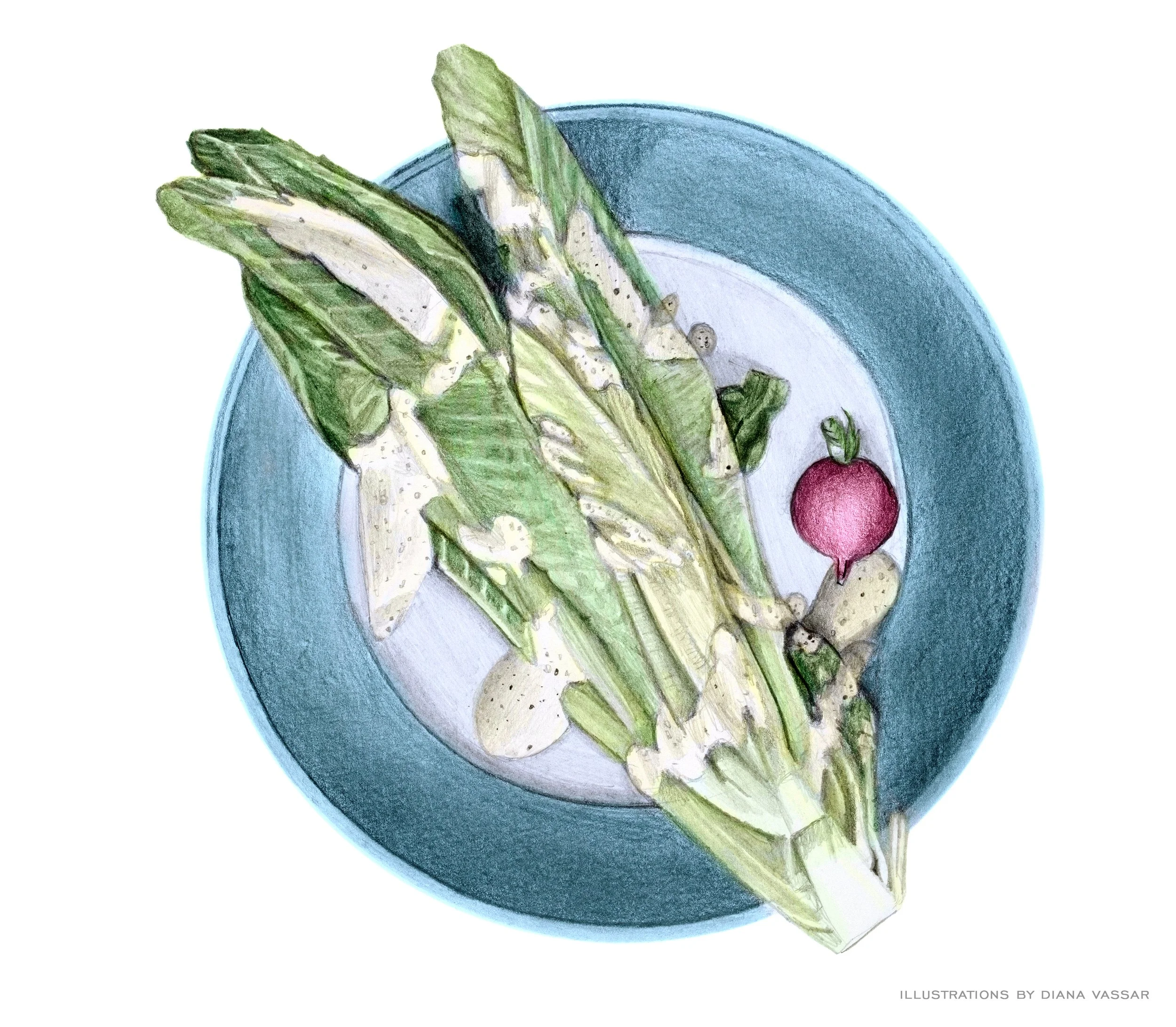 wedge salad with radish illustration | cooking class at Purple Kale Kitchenworks