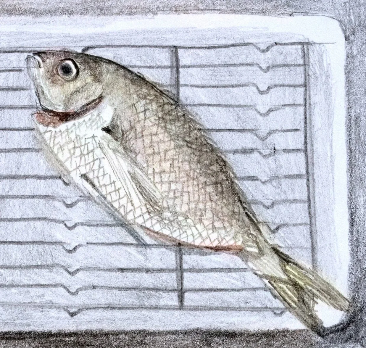 Fish Butchery and Preparation