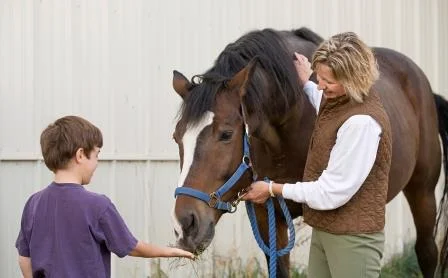 boy_feeding_horse.jpg