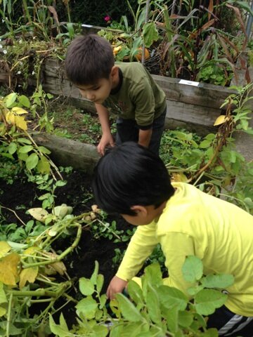 children at garden.JPG