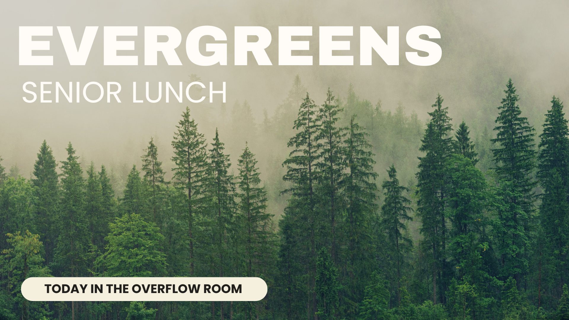 Evergreens Senior Lunch