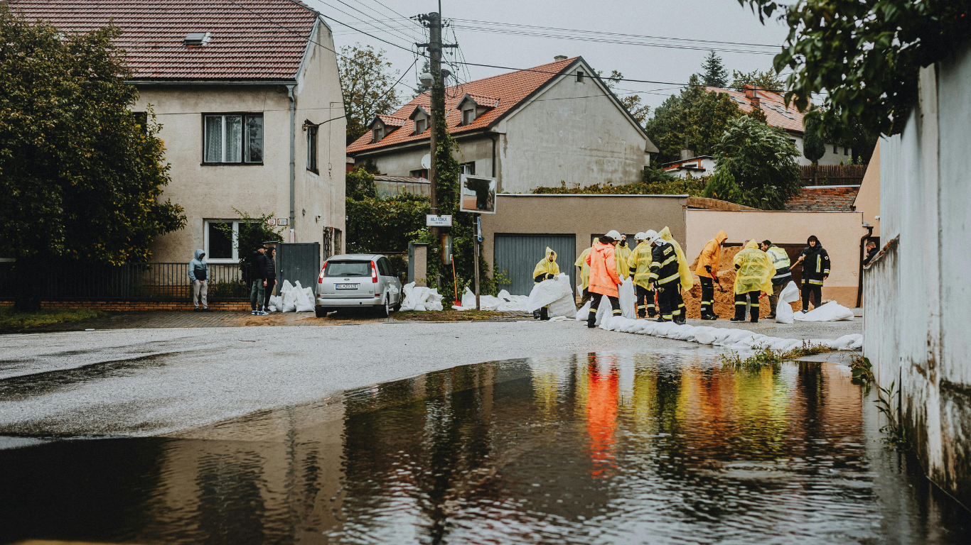 Untitled design (1).png