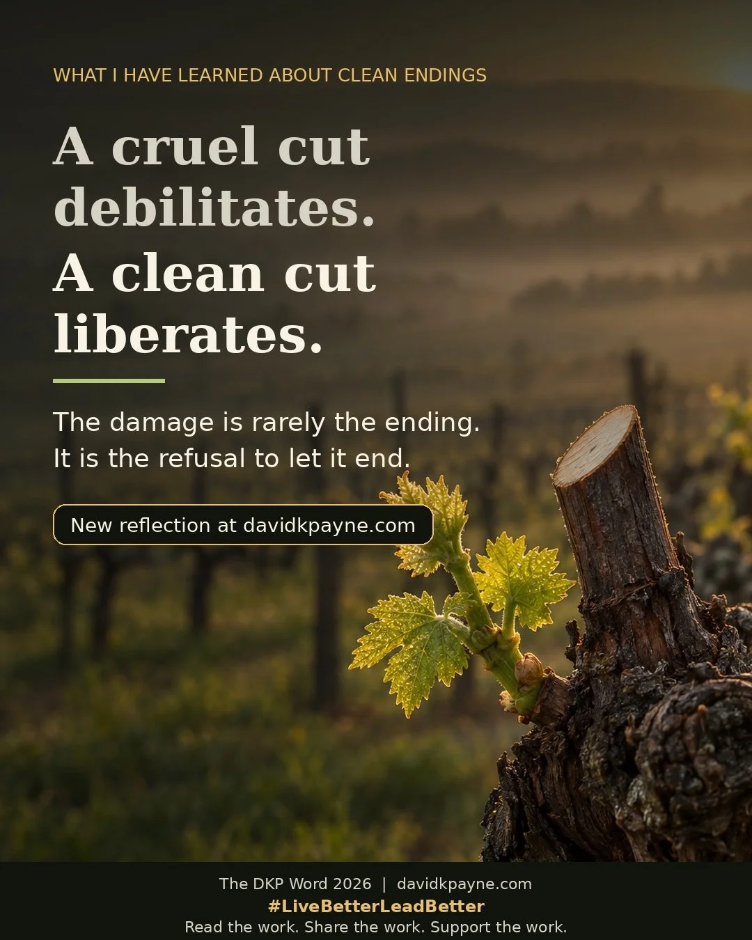 What I Have Learned About the Mercy of a Clean Cut