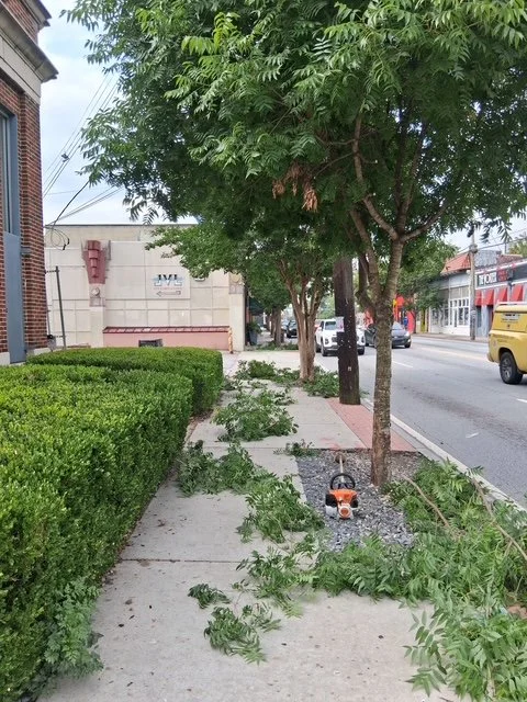 Cleaner Sidewalks &amp; Landscaping