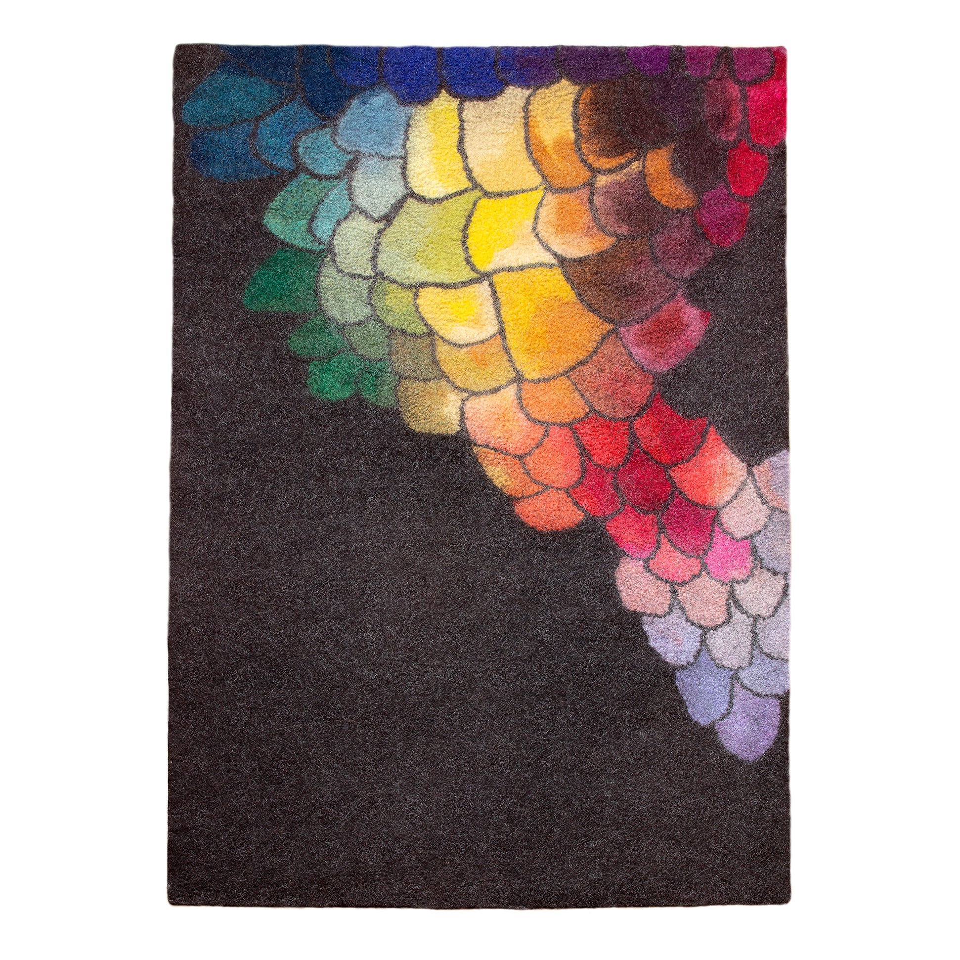 a) Rainbow Scales Rug.jpg